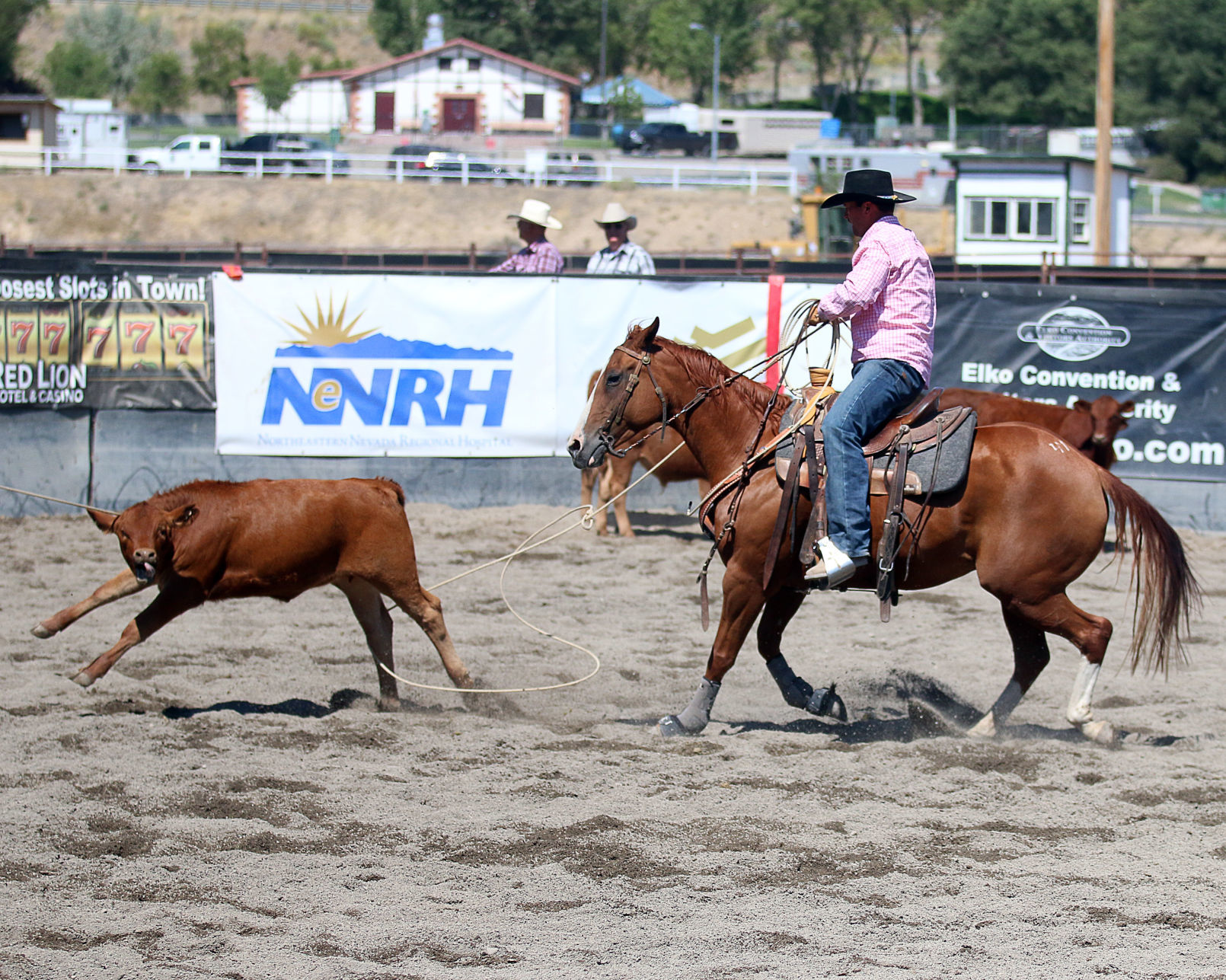 2018 Elko County Fair Open Branding Finals (12).JPG